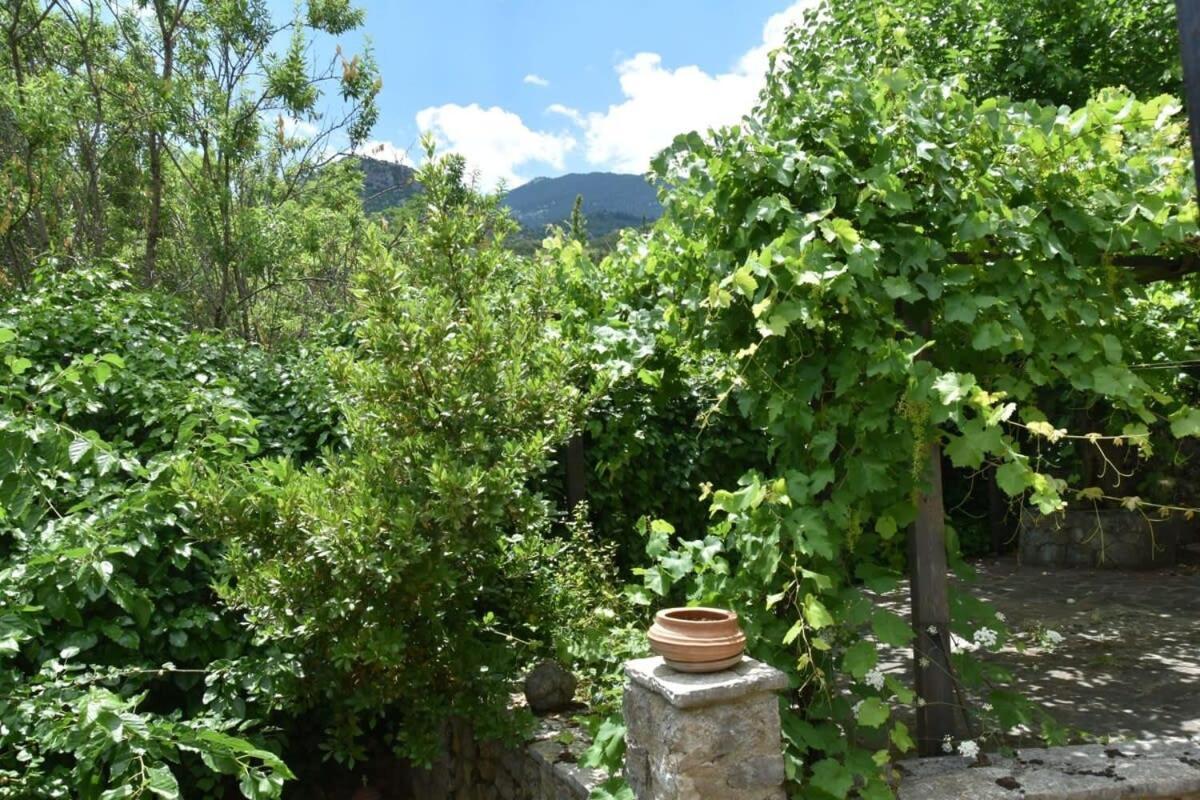 Mariolata Vintage Stone Villa - 4 Season Escape Exterior photo